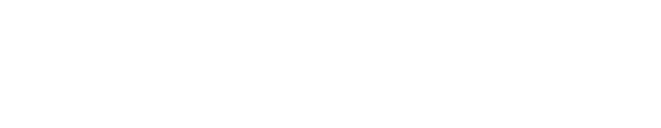 Logo Arena Village